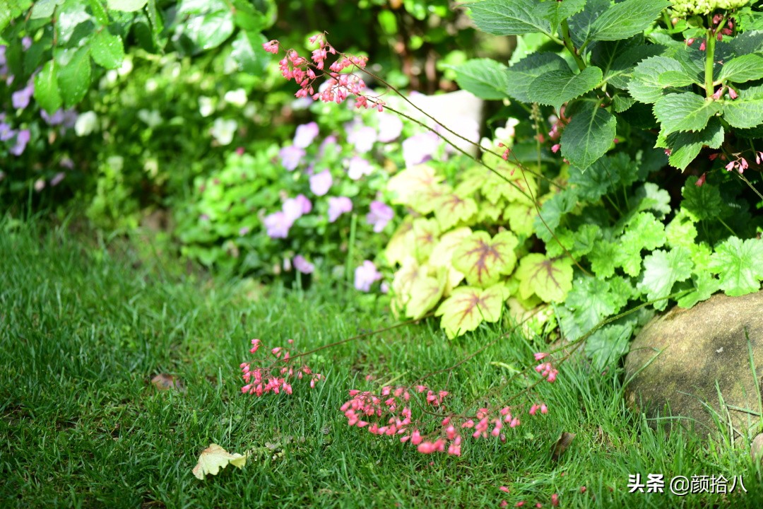 愿时光静止,愿时光静止在这一刻