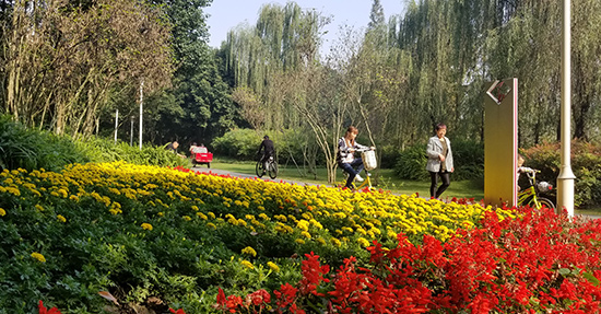 空港中央公园怎么上绿道,空港中央公园好玩吗