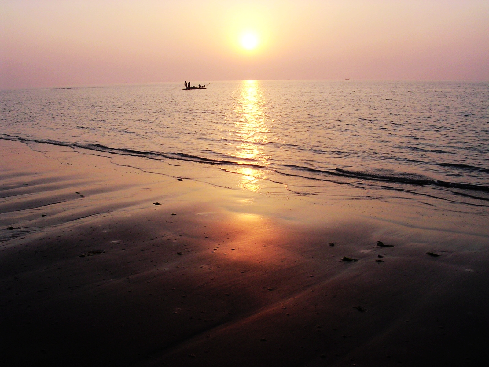 纪念失去后的重生,纪念失去的一切