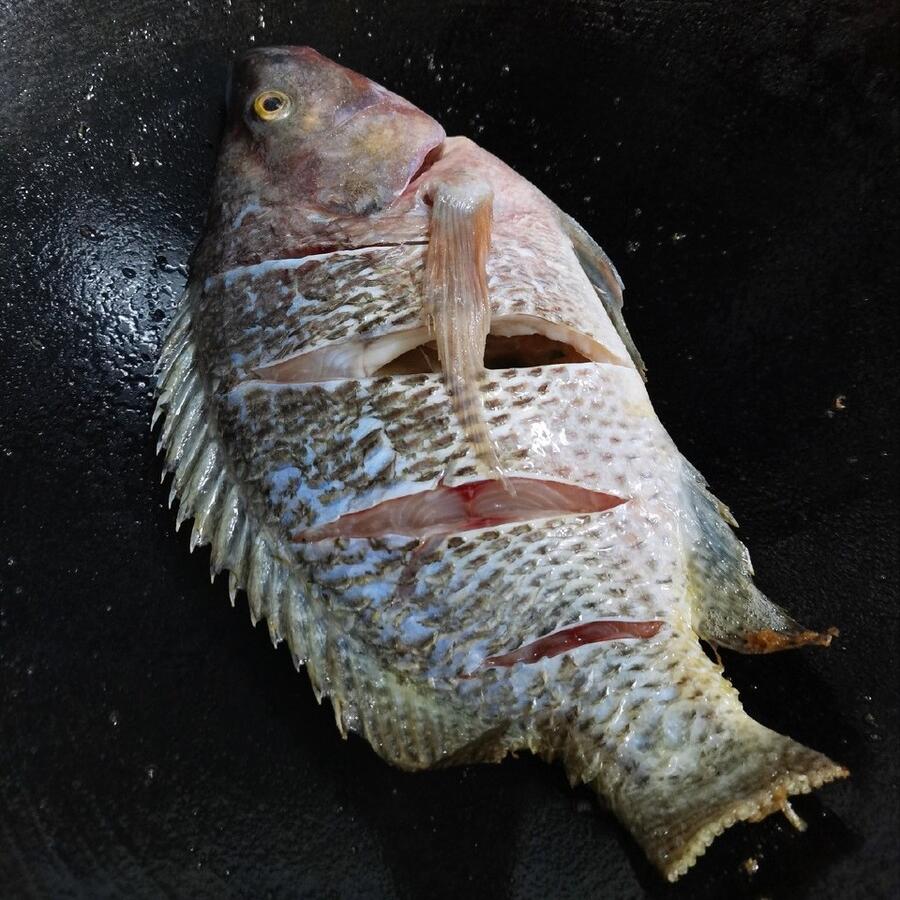 怎样挂糊煎鱼不破皮,煎鱼怎么不破皮不糊锅的小窍门