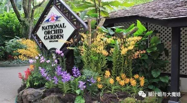 新加坡马来西亚泰国旅游攻略,新加坡马来西亚四日游攻略