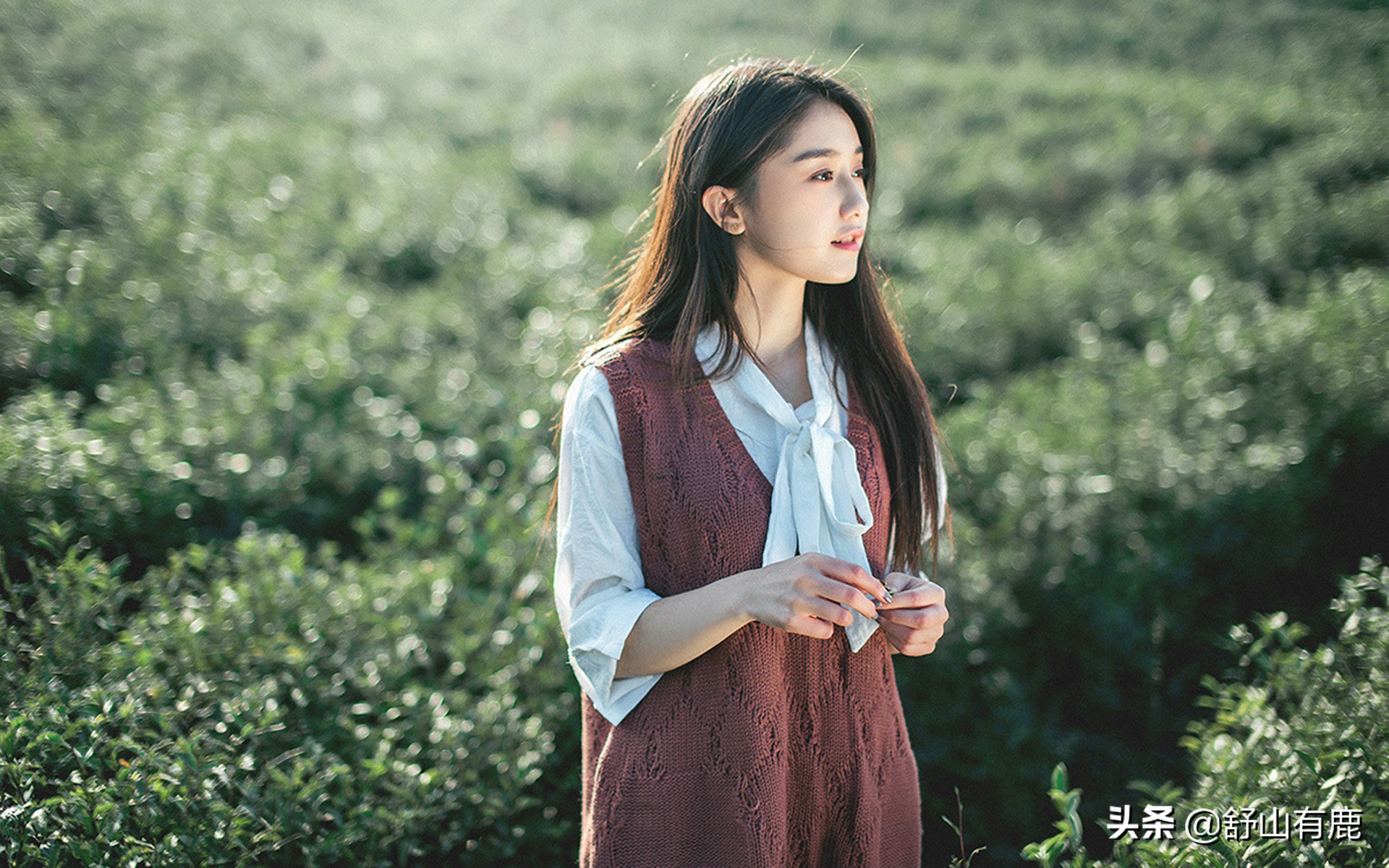 关于赚钱的四个顶级忠告,当你身处困境的时候