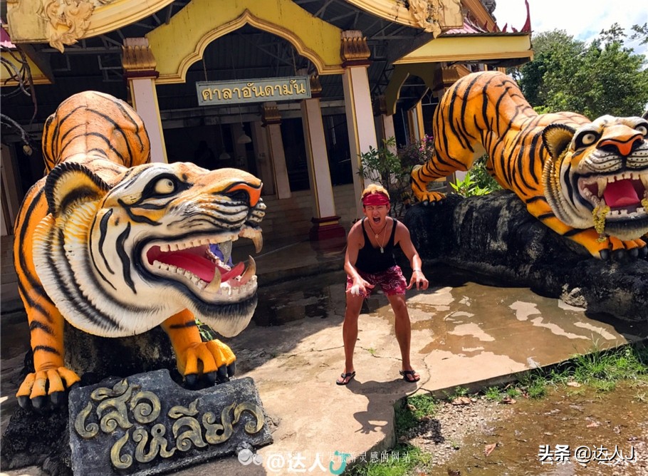 泰国旅游泳池,泰国最美的游泳池