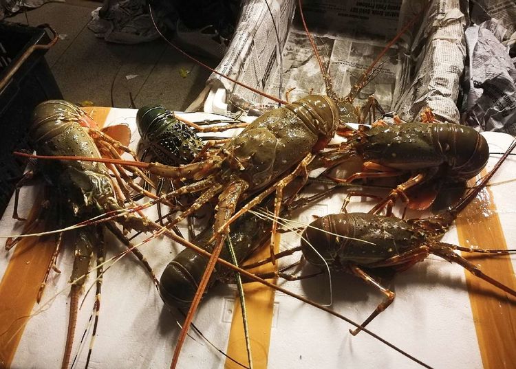 大海里的翡翠一兰卡威岛游记