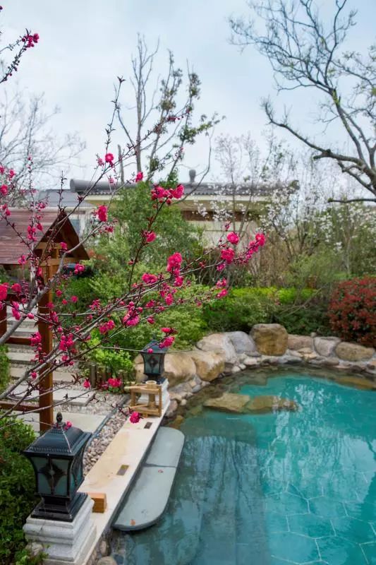 没有孵过混堂的上海冬天，是不完整的！