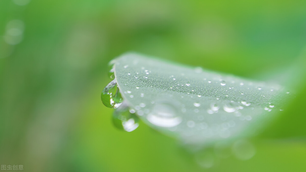 棠梨煎雪，芳华待灼，愿世间所有美好，都与你不期而遇
