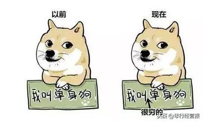 双11花式虐狗，一把吉他搞定