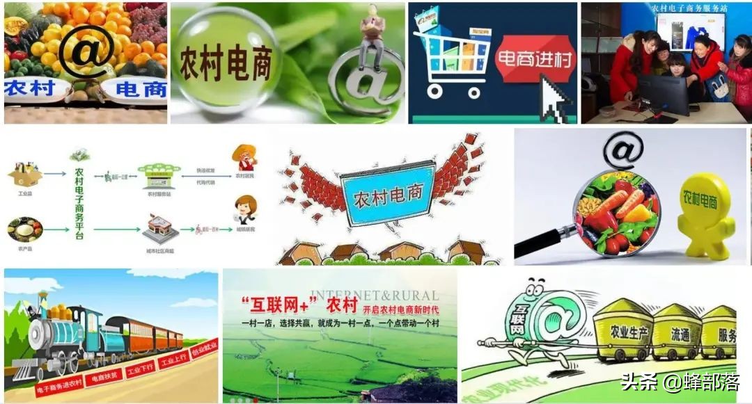 在农村有什么好的项目可以致富,在农村发展有什么好项目