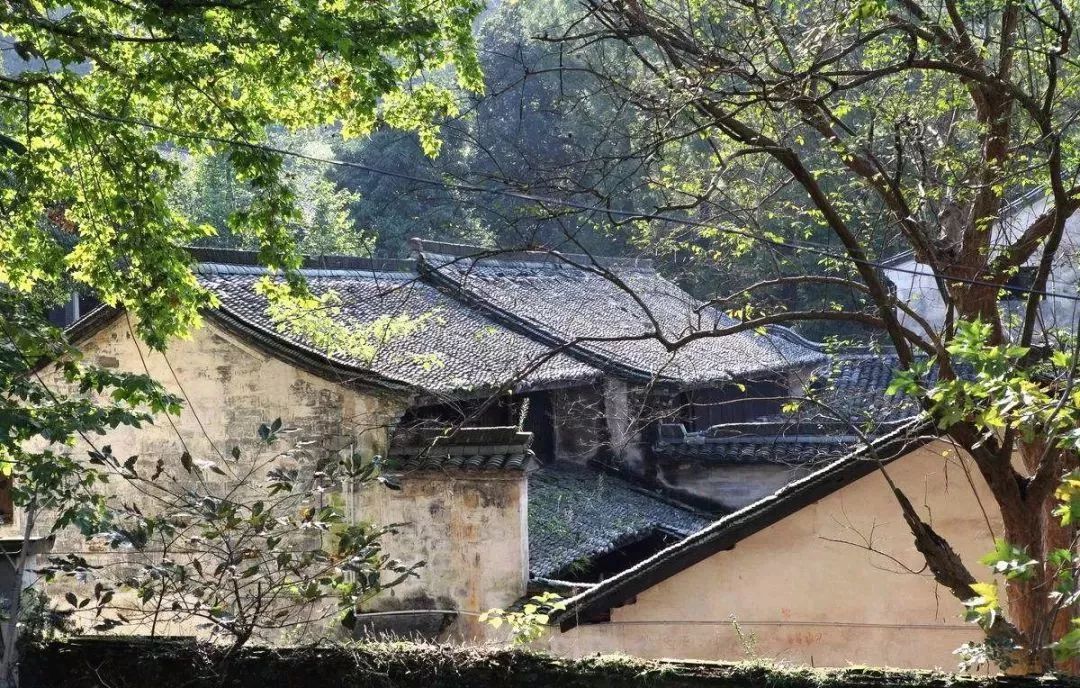 绍兴最美古镇排名,绍兴十大最美乡村