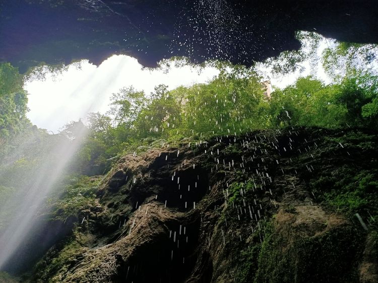 大美武隆仙女山,畅游重庆武隆区仙女山