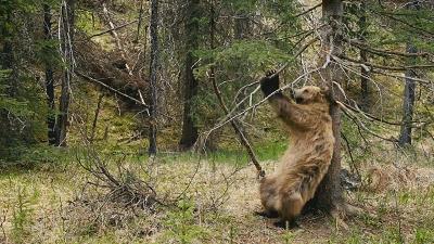 夏天手指上起小水泡很痒怎么回事,为什么一到夏天手上就长水泡很痒