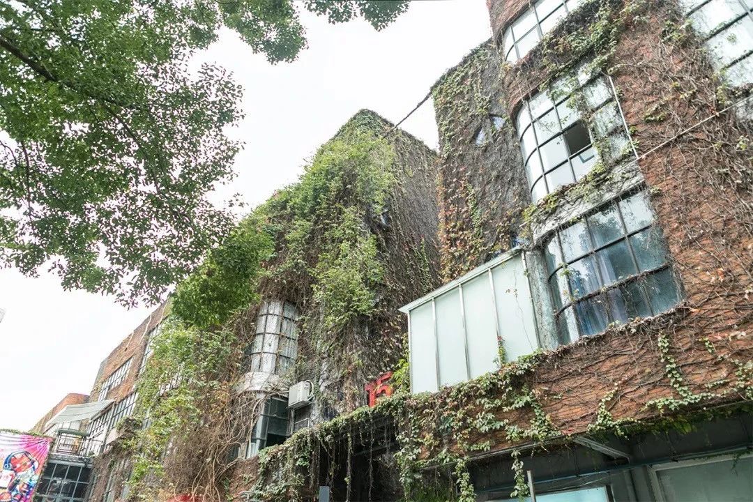 深圳十个小众打卡地,在深圳这些地方既小众又值得打卡