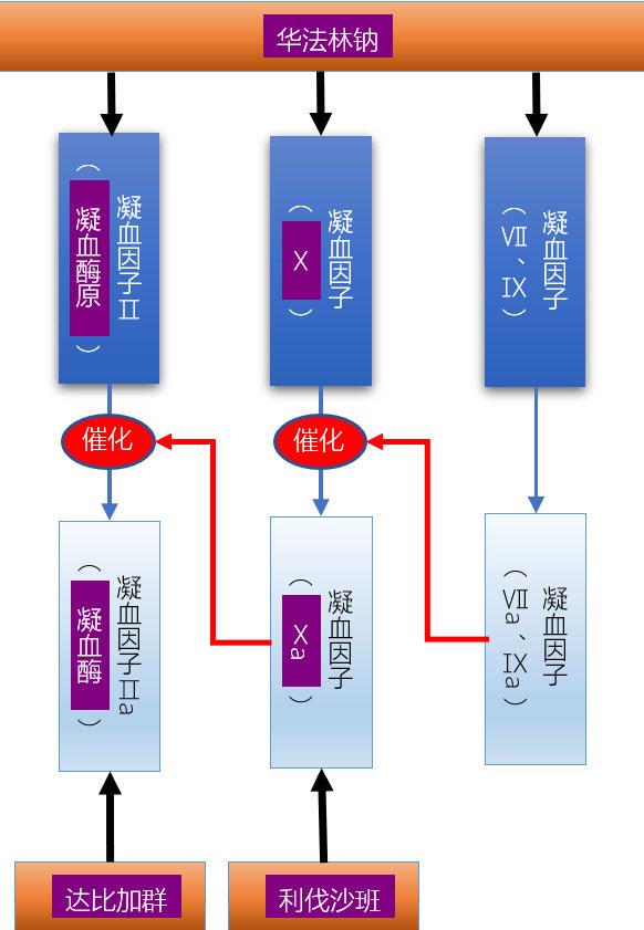 华法林和利伐沙班抗凝的区别,利伐沙班和华法林哪种效果更好