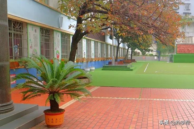 贵阳小学分校排名,贵阳小学总校和分校有区别吗