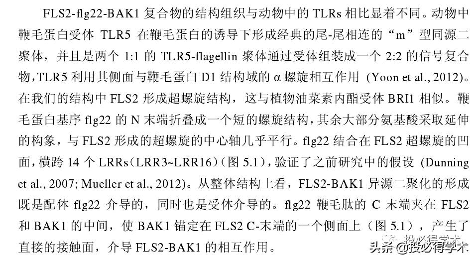 英文文献阅读概括技巧,快速阅读和总结英文文献神器