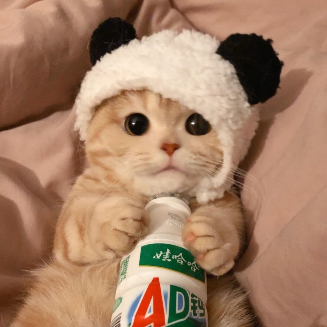 熬夜看完的种田纯爱文推荐,高甜无虐的种田文