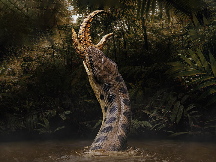 世界上体型最大最重的蛇是什么蛇,中国最大的眼镜蛇有多大