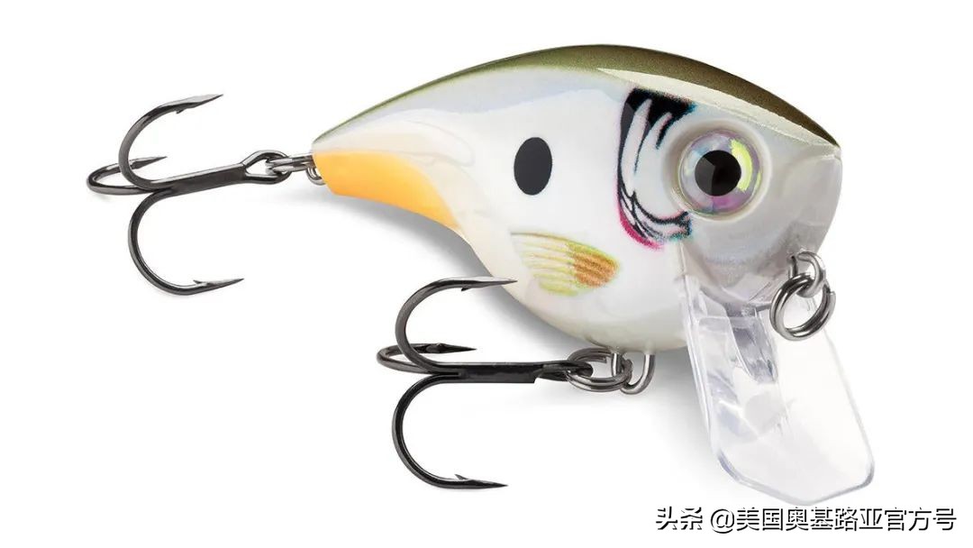 全国渔具展会2021时间表图片,2023国际渔具展会大全一览表