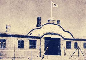 为什么盘锦大米好吃,盘锦碱地大米和蟹田大米哪个好吃