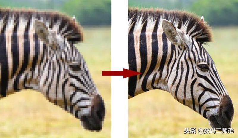 教小白画油画,教小白画素描