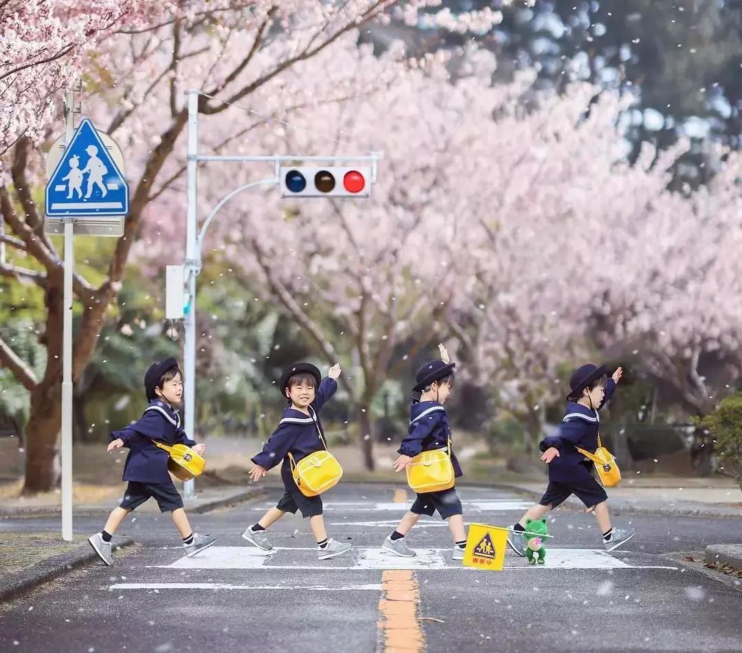 樱花前线2022年,2022第一场樱花