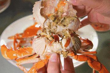 被低估的海边旅游城,被低估的海边