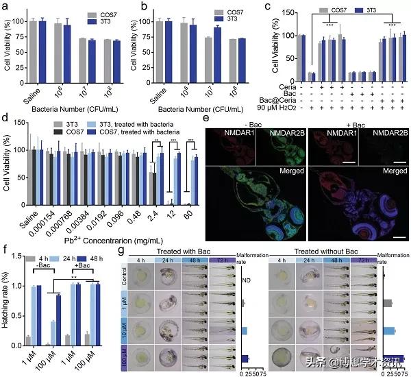 减轻重金属中毒,重金属中毒的斑怎么治疗