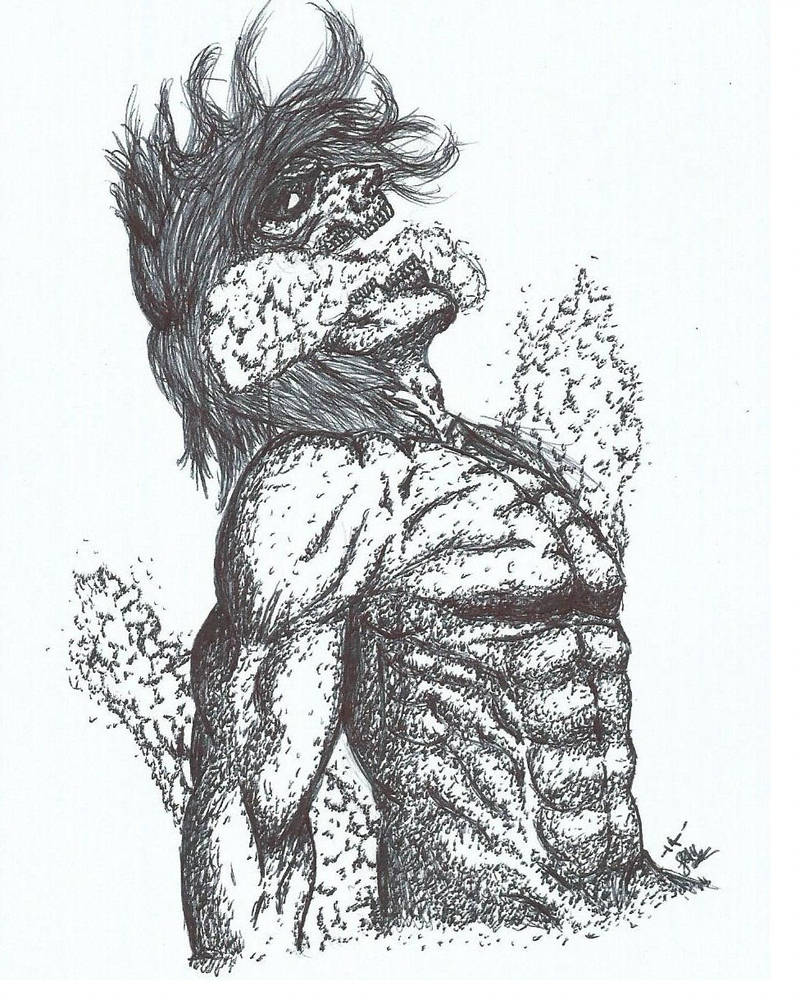 进击的巨人自由之翼是什么颜色的,进击的巨人自由之翼代表什么