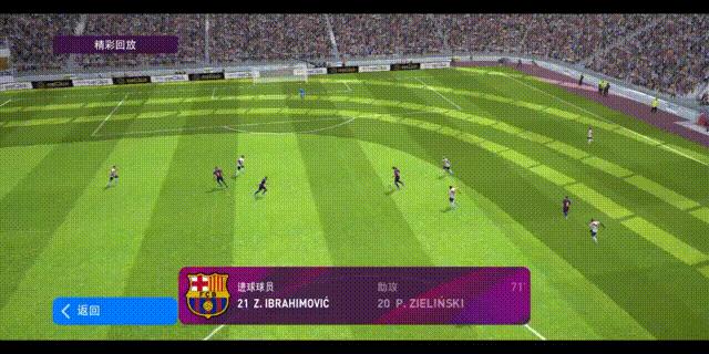 伊布拉希莫维奇合集图文,伊布拉希莫维奇评价