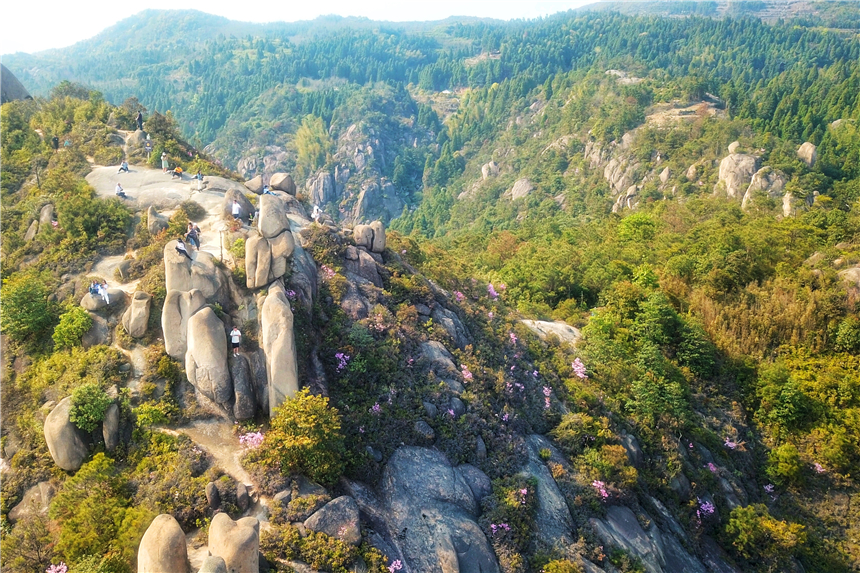 江南水乡旅游攻略四天三晚,温州旅行攻略四天三夜