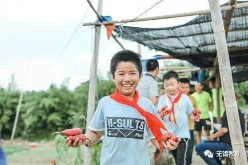 翻地、播种…无锡老小将课堂搬到了田间地头