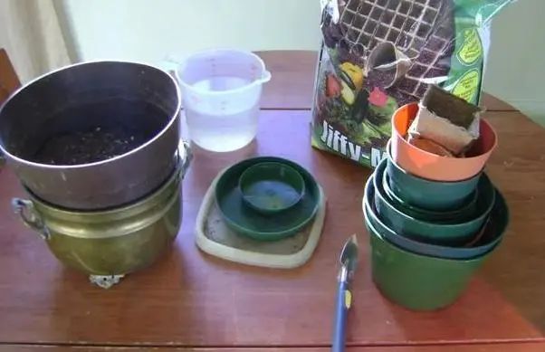 盆栽植物该如何预防积水烂根？用上防堵塞，花根越长越旺盛