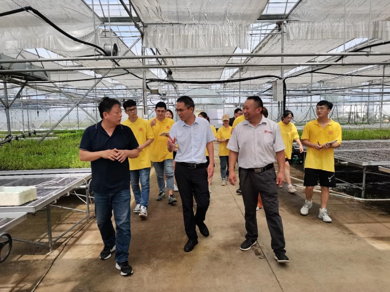 南阳理工学院三下乡社会实践,河南农业职业学院大学生三下乡