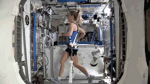 目前可以使用的国际空间站,国际空间站知识点