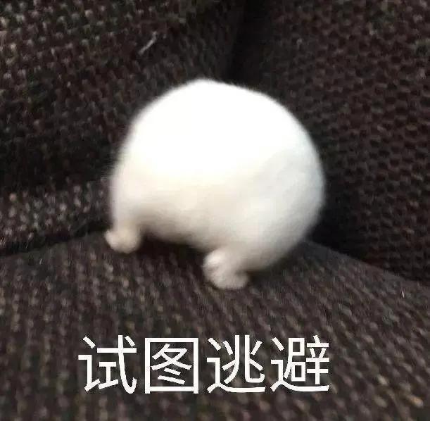 19元就能买到的快乐,18元就能买到的快乐