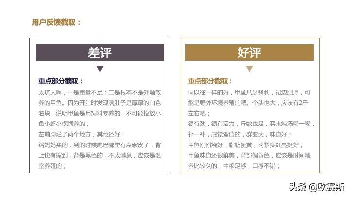 欧赛斯带你全方位洞察甲鱼市场发展趋势及竞争格局