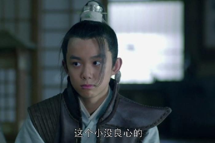 琅琊榜飞流和蔺晨是一对吗,琅琊榜飞流为什么惧怕