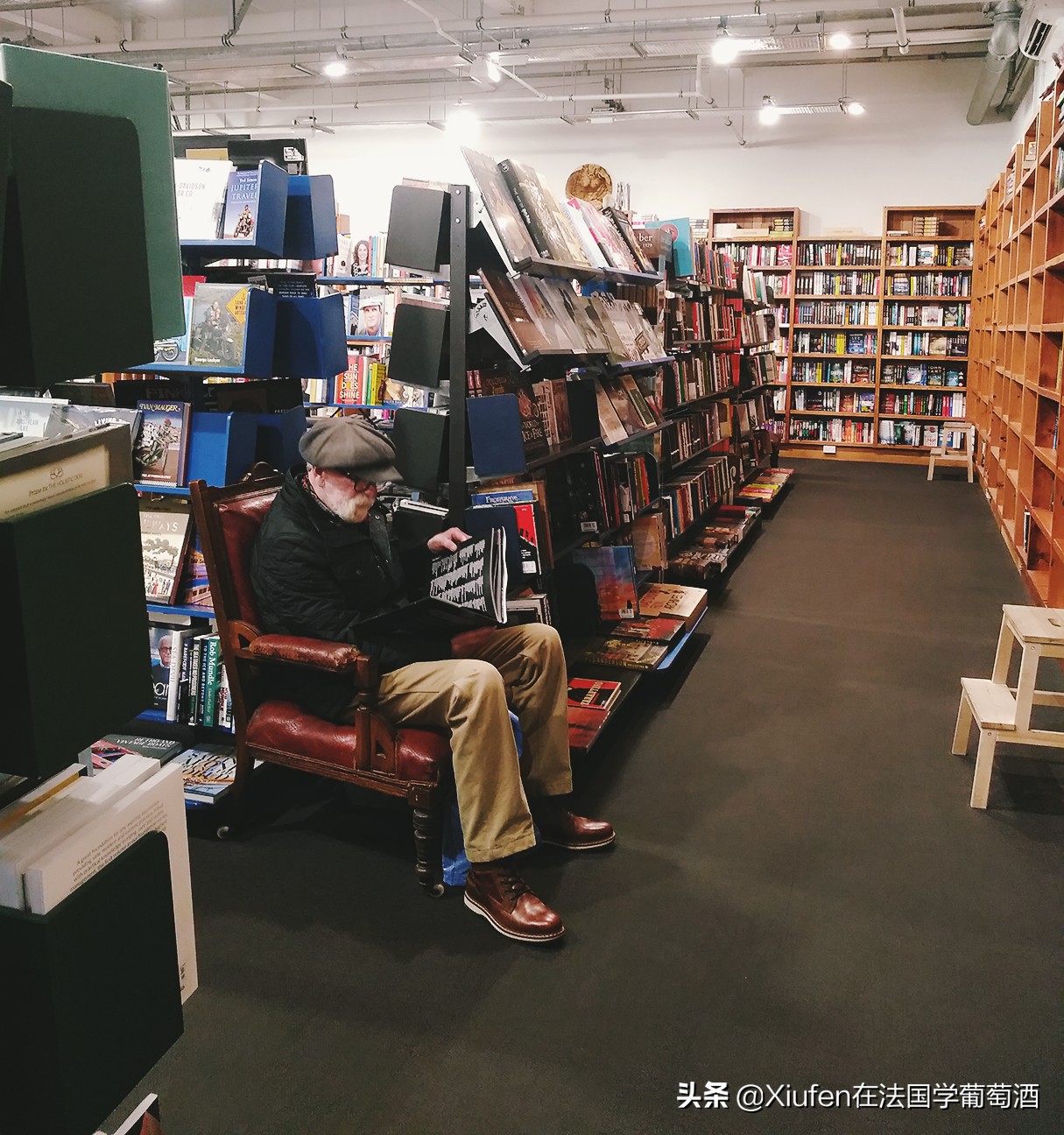 新西兰基督城城市风景,新西兰基督城风景漫步