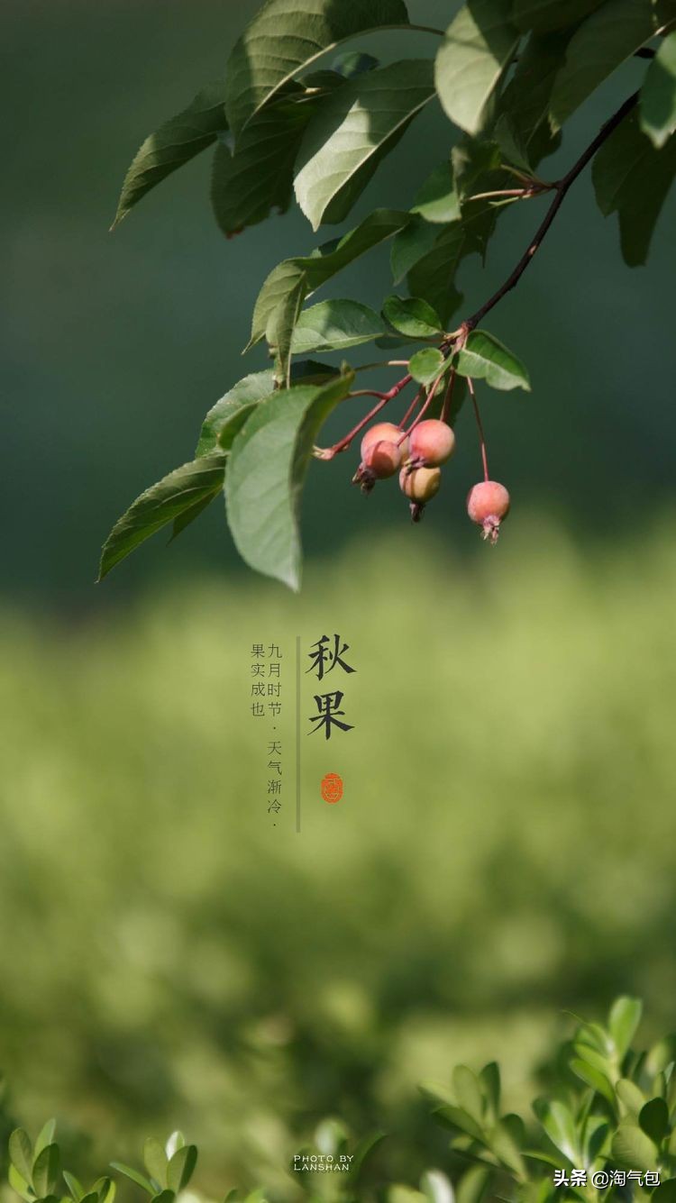 秋分愿生活恰如其分,人生恰如秋分生活恰如其分