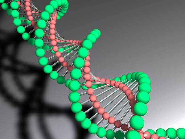 个子矮把握孩子增高黄金期,孩子长高是看小腿吗