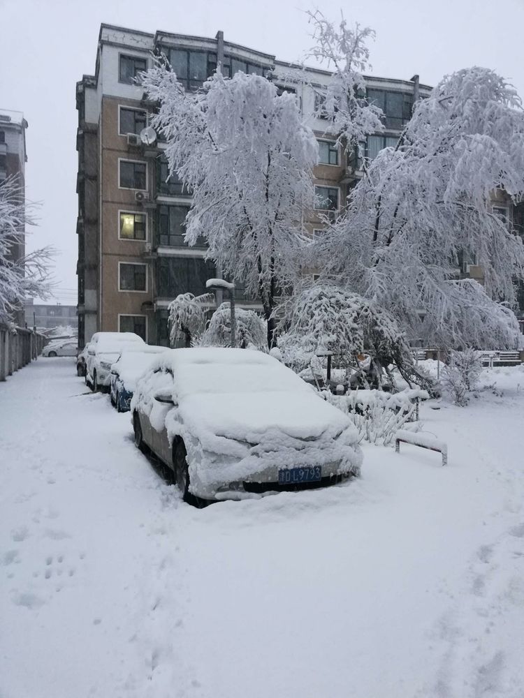 曲红旗：“大雪”即景