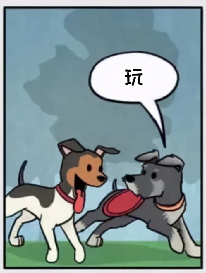 猫和铲屎官漫画全集,铲屎官和狗子的漫画