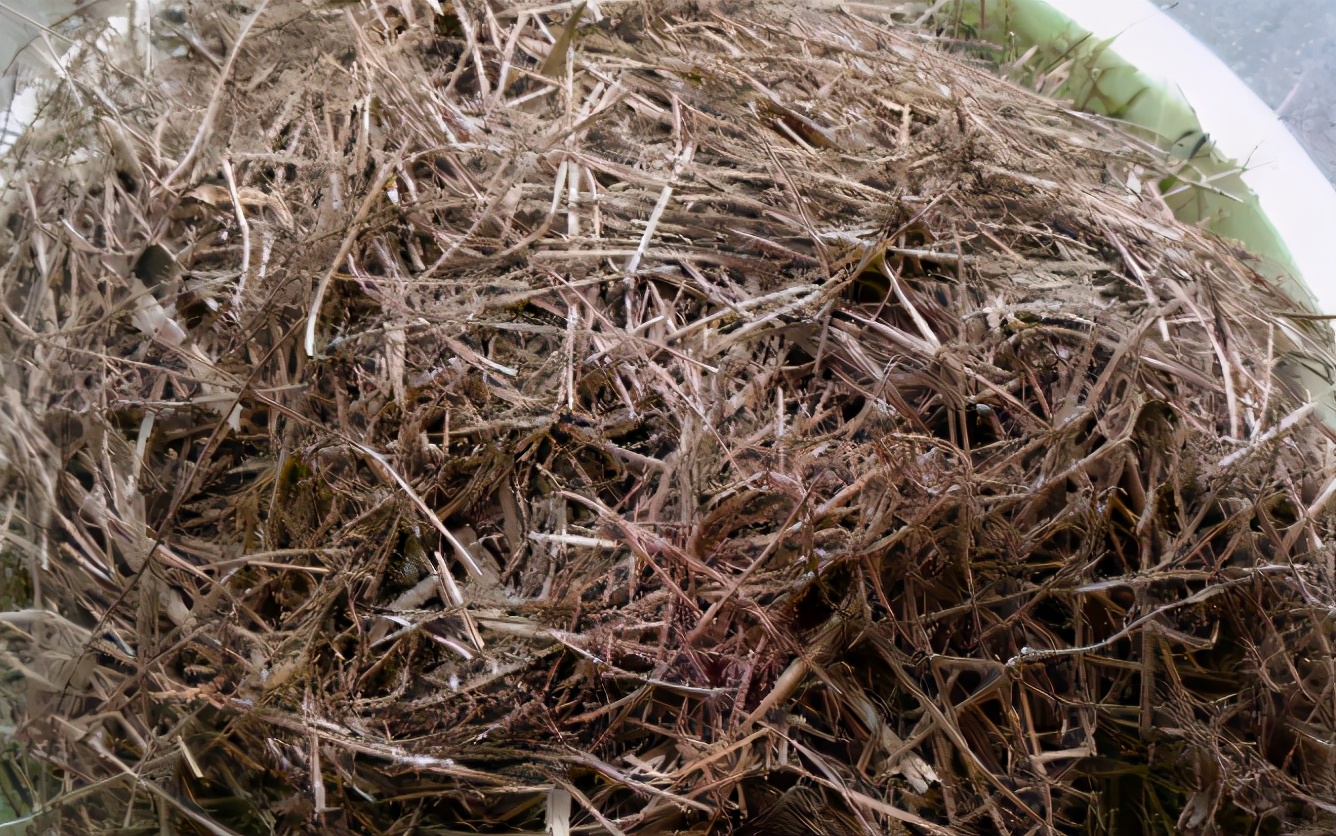 家庭养花疏松透气配土材质,养花的土怎么才能疏松透气