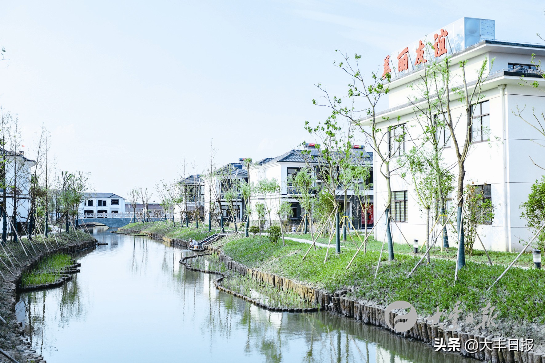 盐城射阳全面加速乡村振兴步伐,盐城聚焦乡村振兴