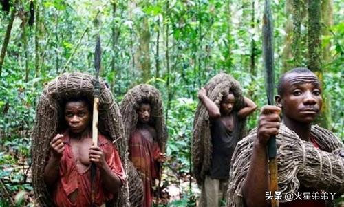 世界上最后一只恐龙视频,世界上最后一头恐龙