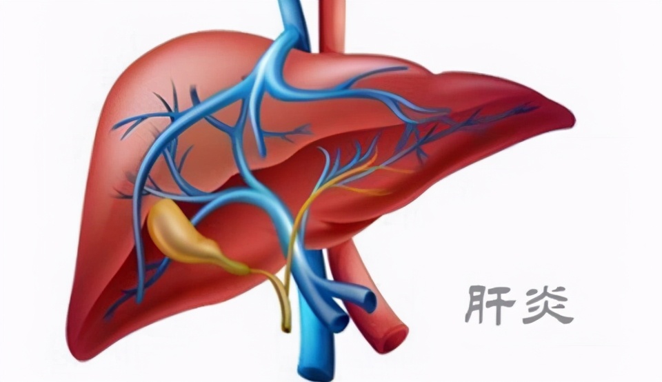 尿黄乏力什么原因,尿黄乏力喝什么药