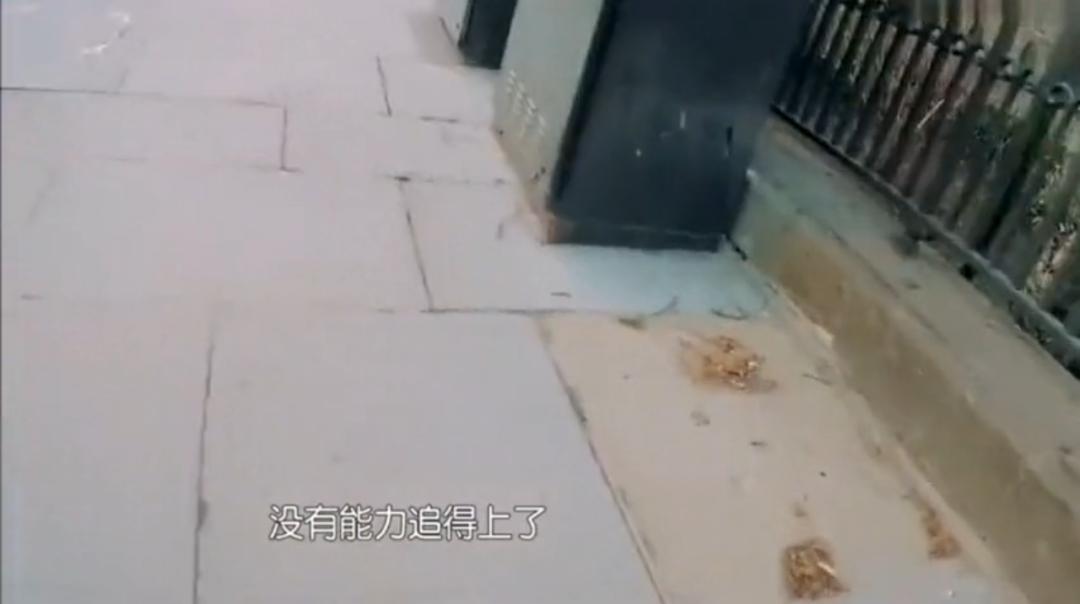 黄磊女儿黄多多健身上热搜,14岁黄多多健身完整版