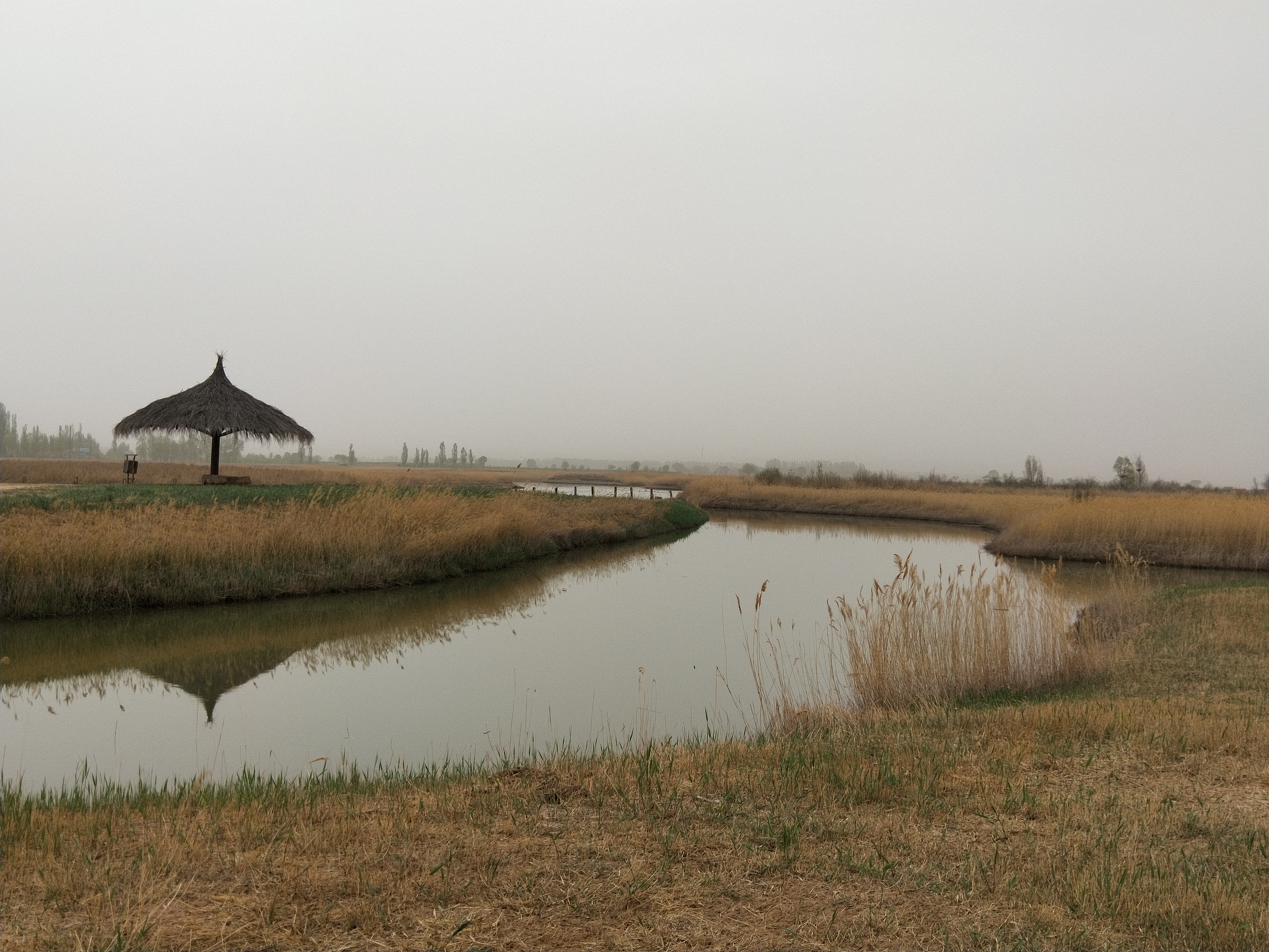 宁夏黄沙古渡游,银川好玩的地方推荐黄沙古渡