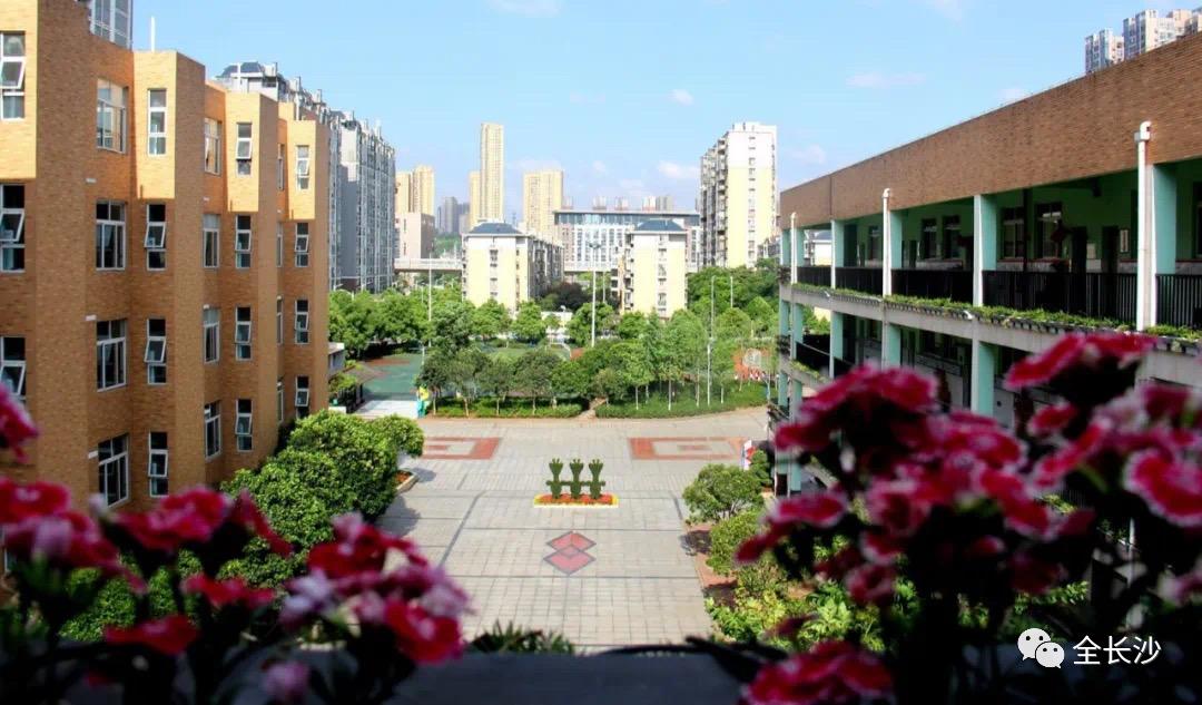 有口皆碑|长沙名小集团：①砂子塘集团