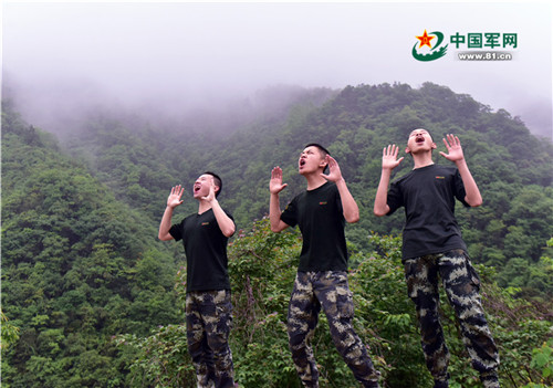 手机信号为什么可以无处不在,手机信号无服务无法连接网络